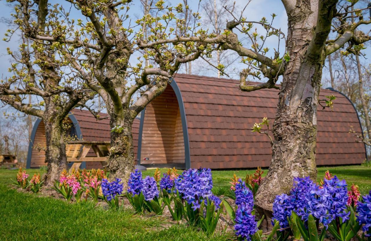 Familie Resort Molenwaard Ottoland Exteriér fotografie